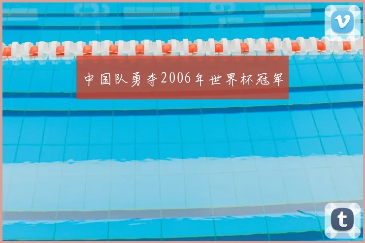中国队勇夺2006年世界杯冠军