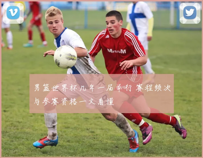 男篮世界杯几年一届举行 赛程频次与参赛资格一文看懂
