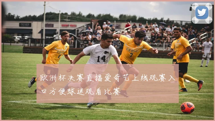 欧洲杯决赛直播爱奇艺上线观赛入口方便球迷观看比赛