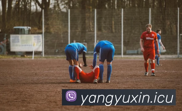 九游(JIUYOU.COM)体育第一门户 - 官方网站APP 封面图